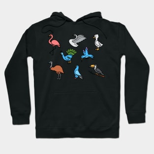 Cute birds in zen mode Hoodie